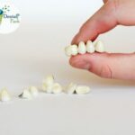 Zirconia crown