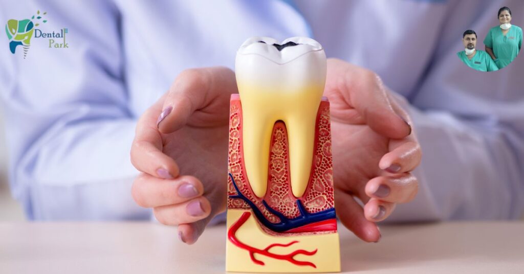 Best Dental Clinic in Ghaziabad | Dental Park Best Dentist near Alamnagar